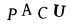 To show CAPTCHA, please deactivate cache plugin or exclude this page from caching or disable CAPTCHA at WP Booking Calendar - Settings General page in Form Options section.